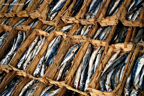 Resep Tumis Ikan Pindang Resep Tumis Ikan Pindang