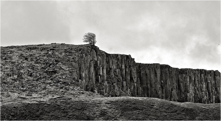 Compact Camera, Best Photo of the Day in Emphoka by Wayman, Fujifilm X10, https://flic.kr/p/nioBHs Compact Camera, Best Photo of the Day in Emphoka by Wayman, Fujifilm X10, https://flic.kr/p/nioBHs