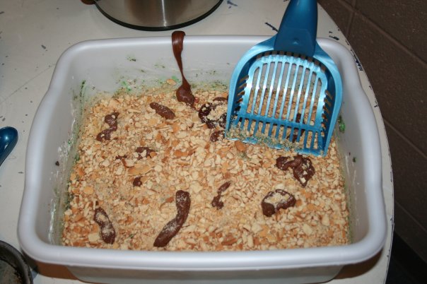 42 Cat Litter Cake Pictures Images