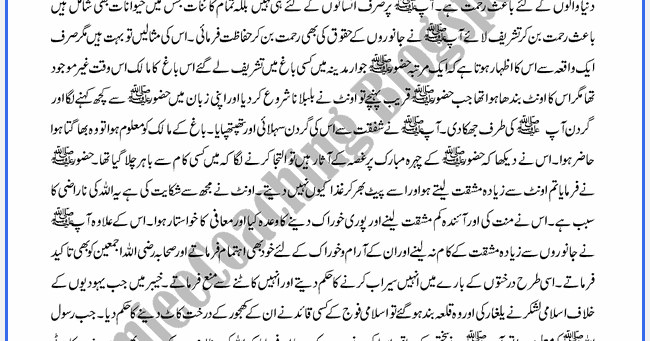 Rehmat ul lil alameen essay 08 image