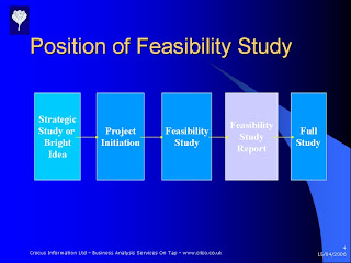 Feasibility study essay