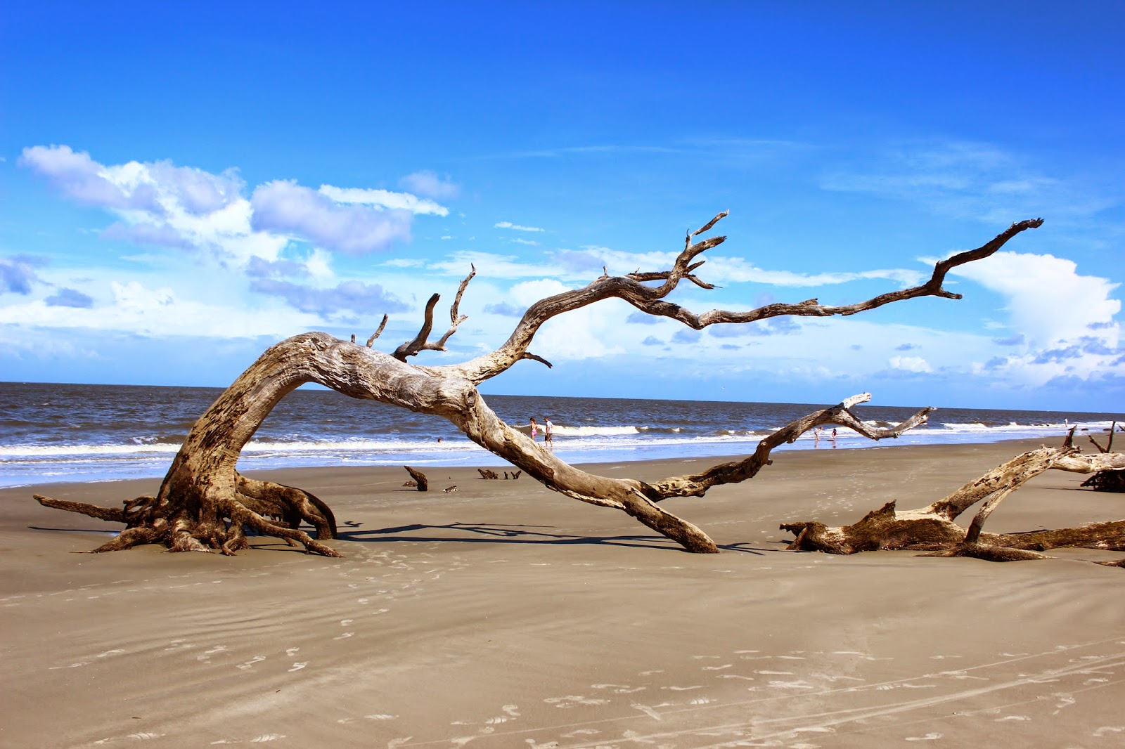 Vacation 2014 Vacation 2014, Jekyll Island, GA