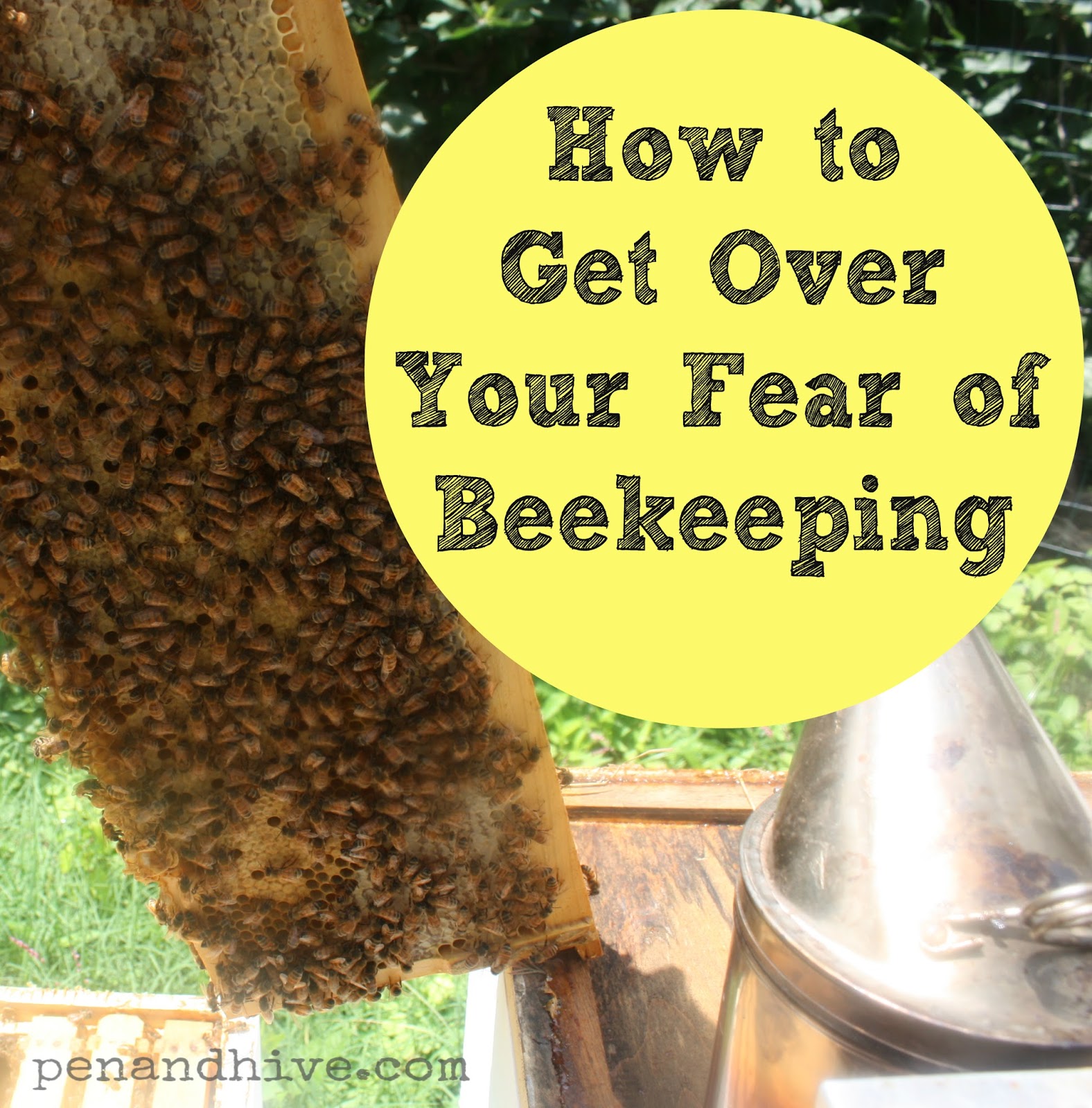 Pen & Hive How To Get Over Your Fear of Beekeeping