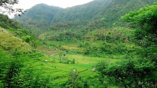 balinese traditional irrigation
