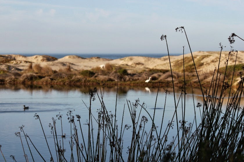 Tamera Beardsley Airstream Glamping at Pismo Beach