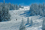 Kopaonik