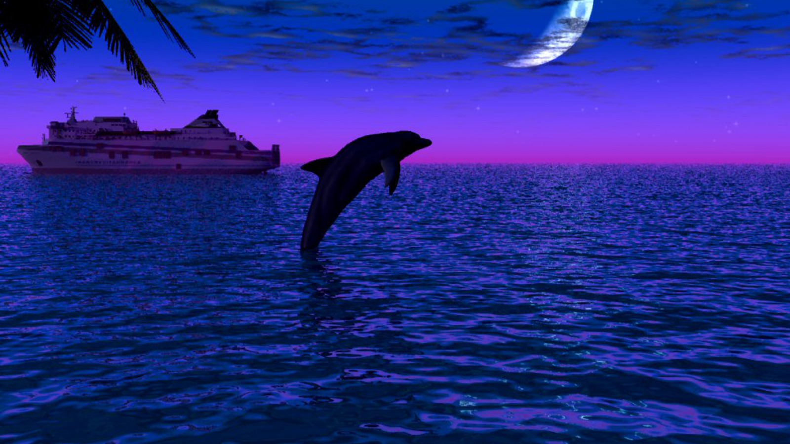 HD Dolphins Wallpapers Dolphins Pictures HD Animal