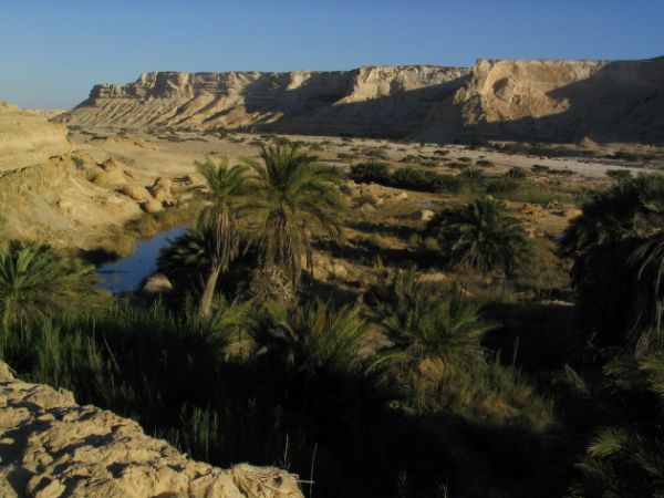 Oasis Oman