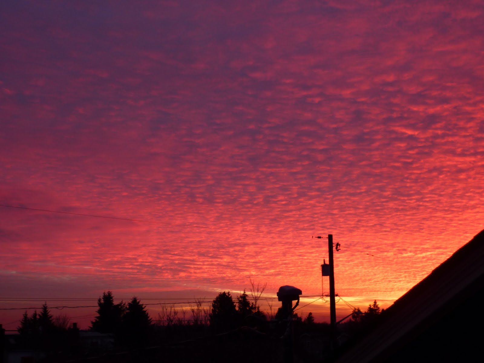 Sunset Seattle