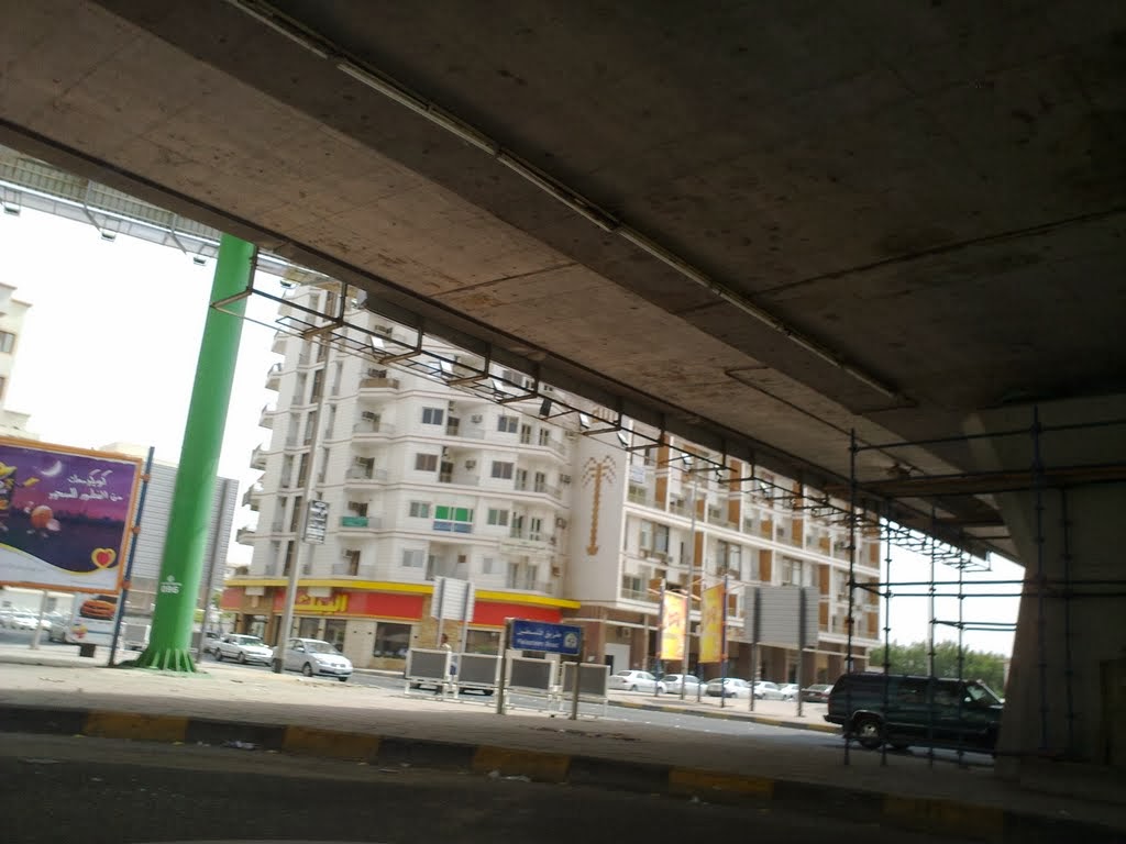 http://www.mol.gov.sa/services/inquiry/nonsaudiempinquiry.aspx