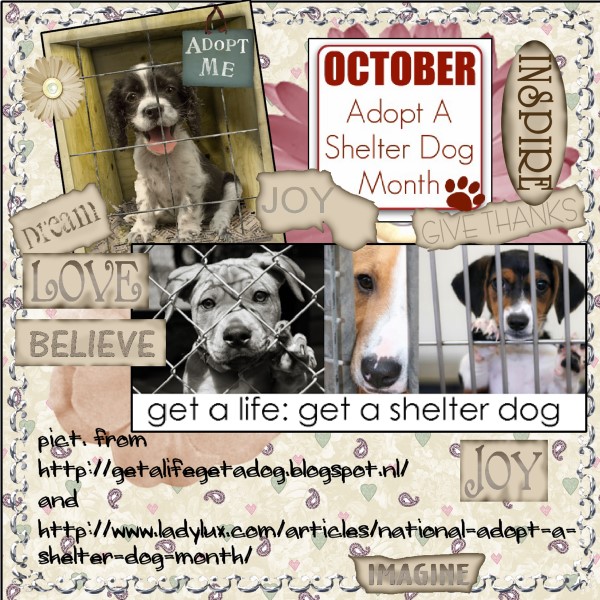 Oct.2016 - Adopt a Shelter Dog Month