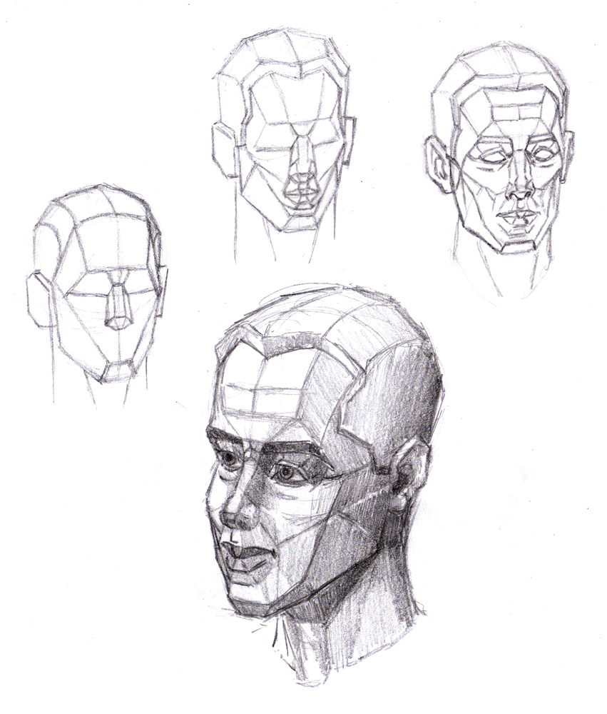magellin blog the planes of the face