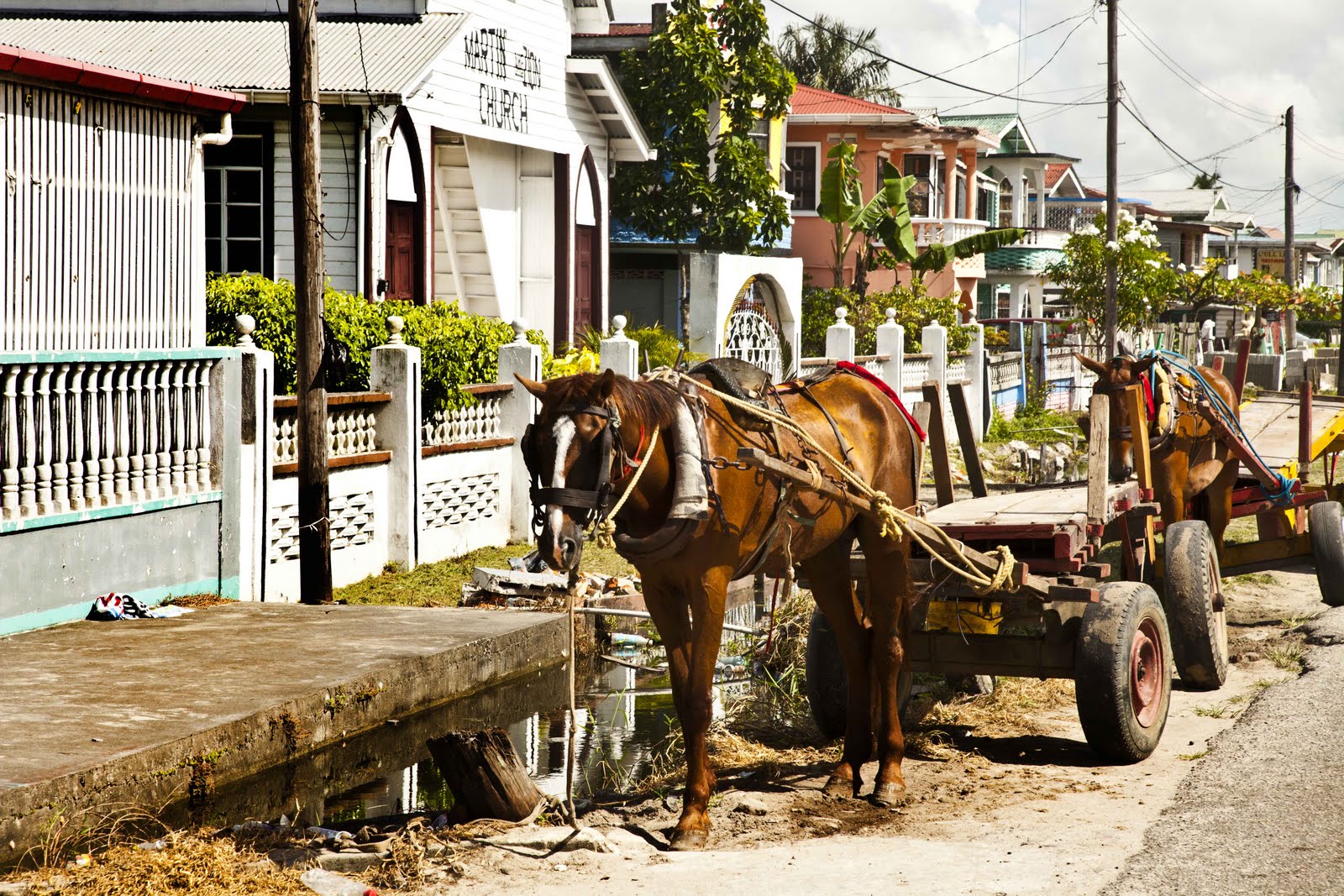 Guyana Calling Guyana Day 1