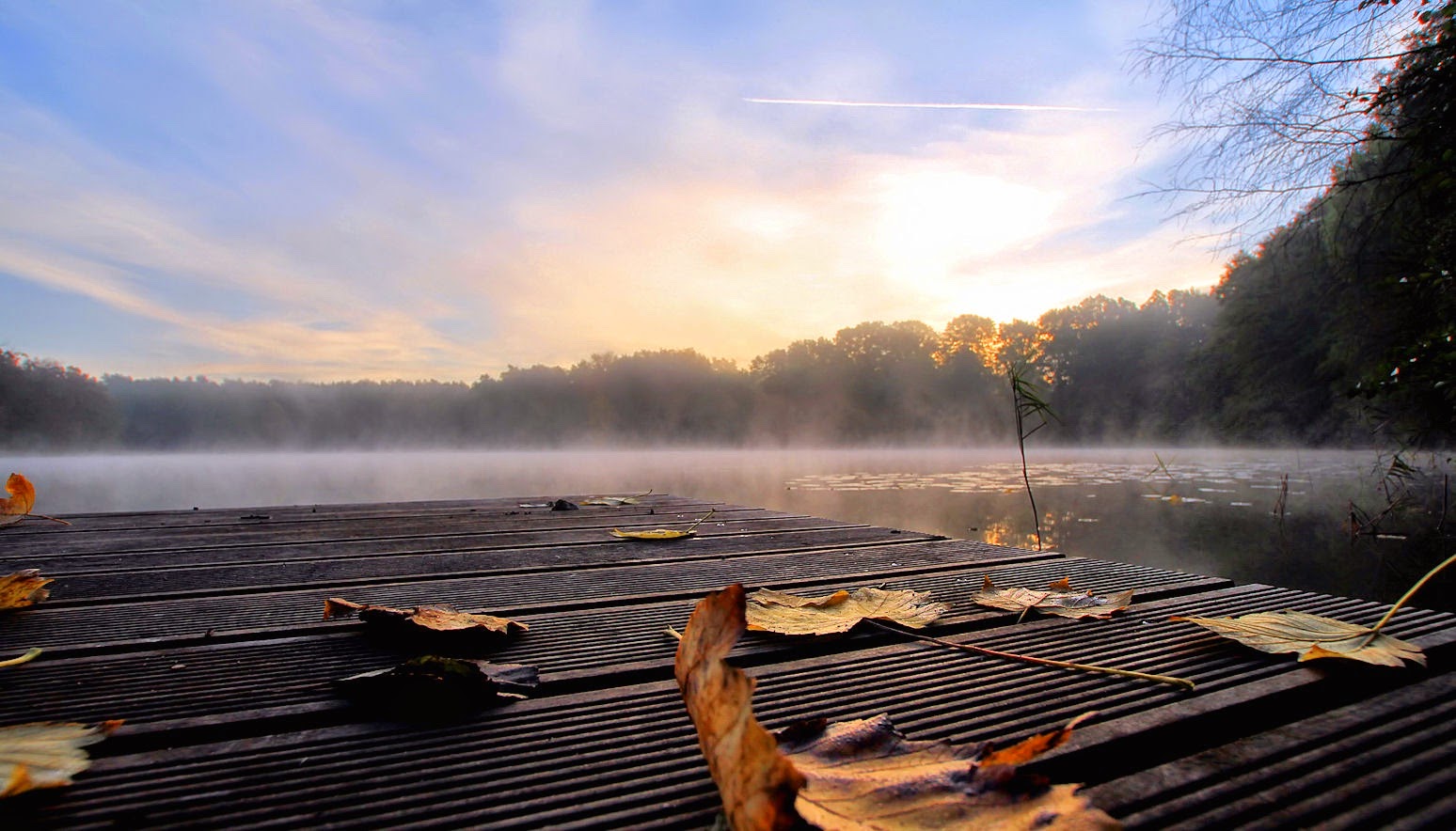 Unterlenker Juni 2018