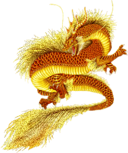 dragonclips com yellow dragons dragonclips com yellow dragons