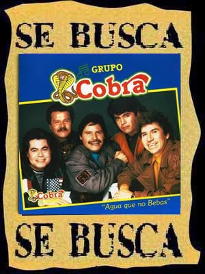 GRUPO COBRA