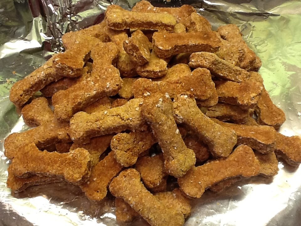 Mucky Hen Is Garlic Bad for dogs?