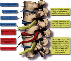 Chiropractic Office