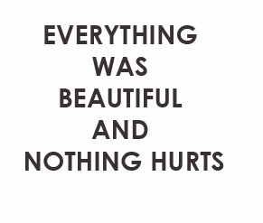 EVERYTHING WAS BEAUTIFUL AND NOTHING HURTS