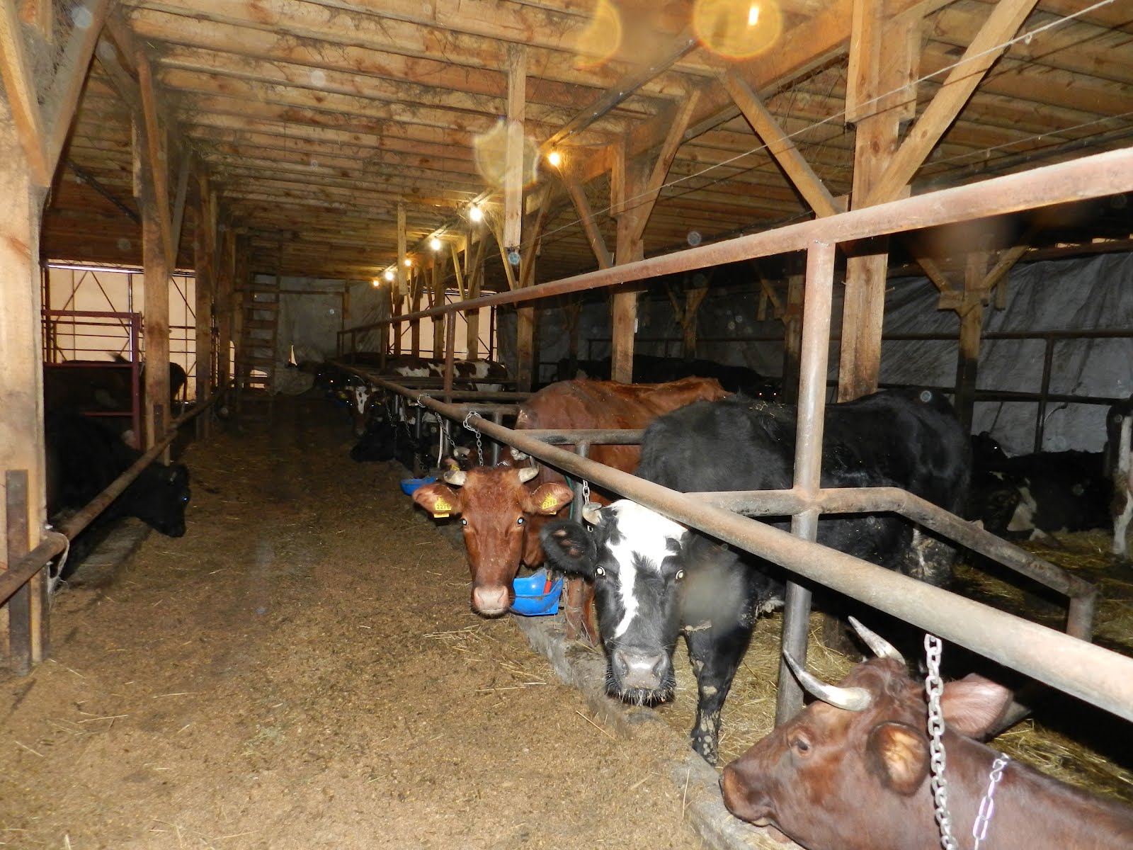 Inside Of Barn