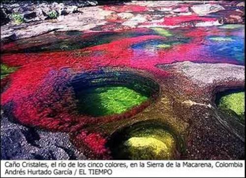 El rio de los 7 colores! Rio+de+7+colores