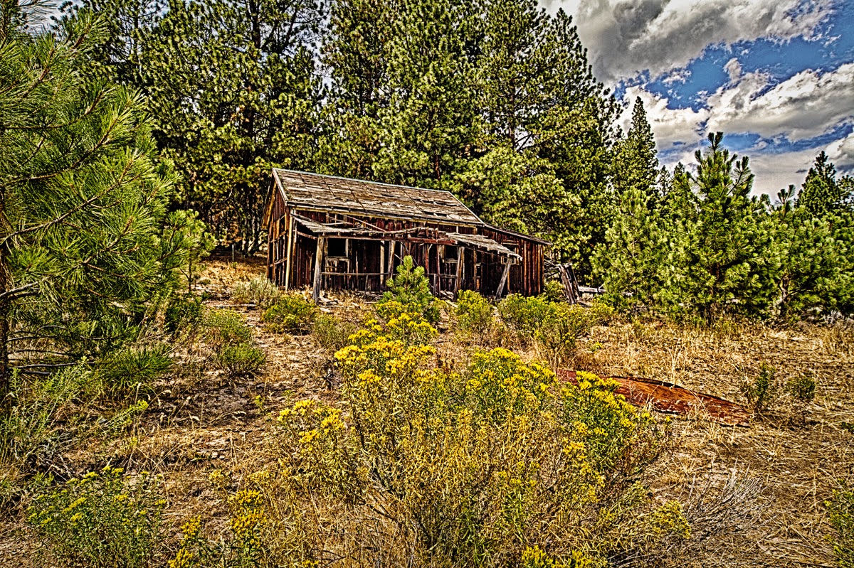 Rick Williams Photography Old House Weed California