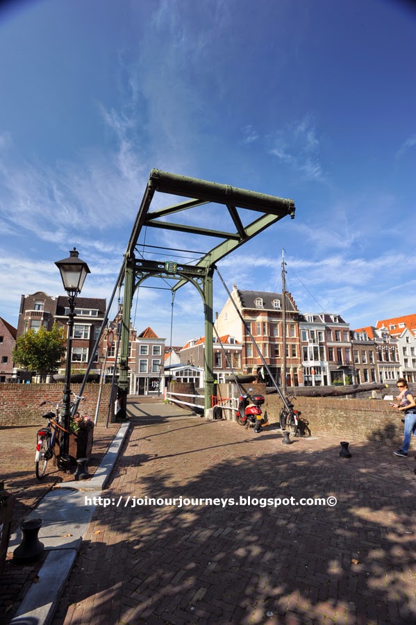 Rotterdam Rotterdam Rotterdam Ladybird