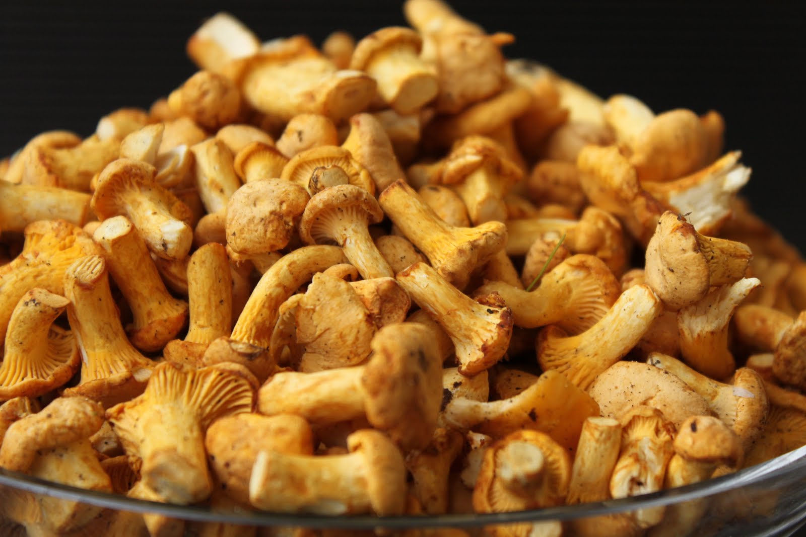 Pots and Frills Chanterelle SoupAbout Polish Truffles