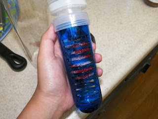 Forever_Fused_Fruit_Infuser_Water_Bottle.jpg