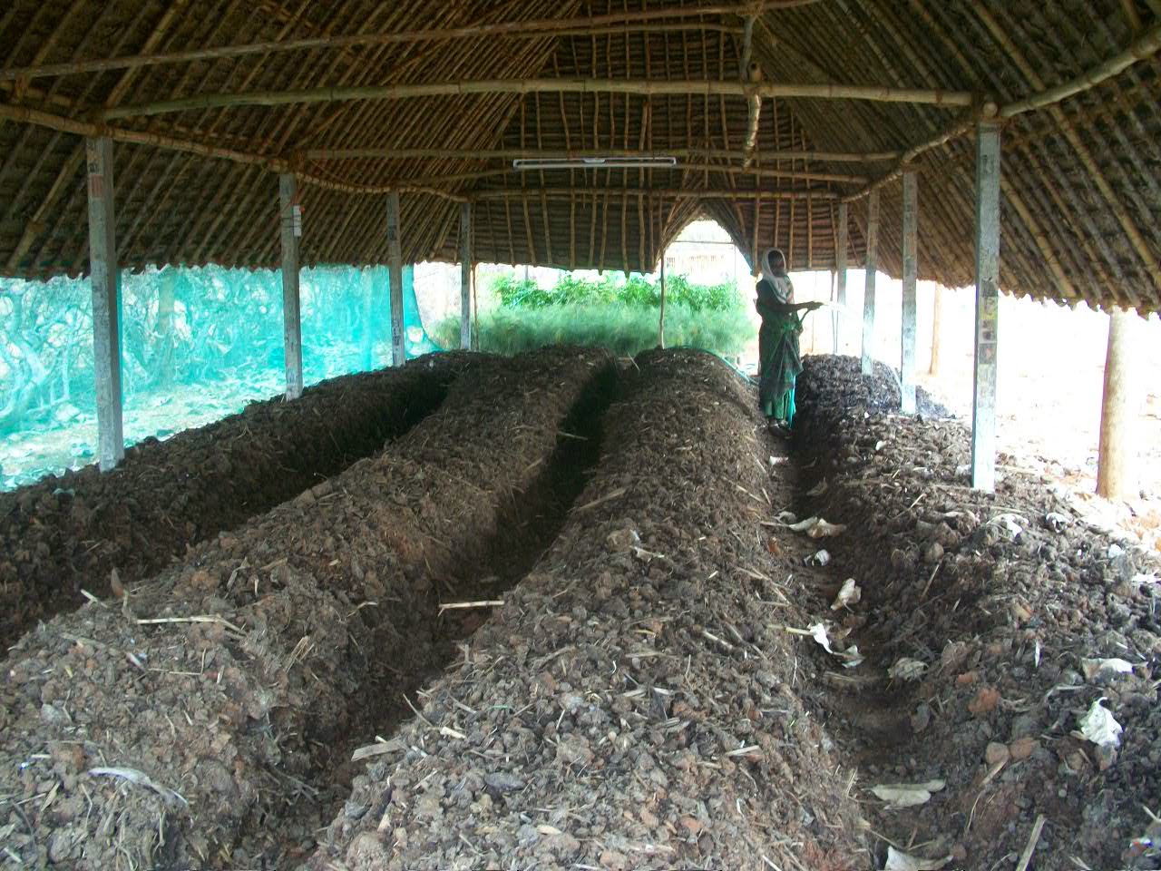 NGO News blog, NewsLine SG/OFISEVAI project promotes Vermiculture