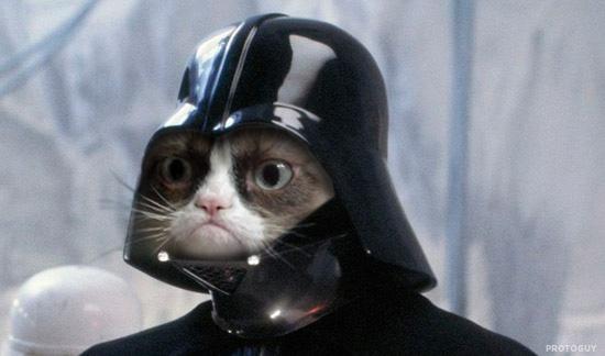 Grumpy Cat: Darth Grumpy