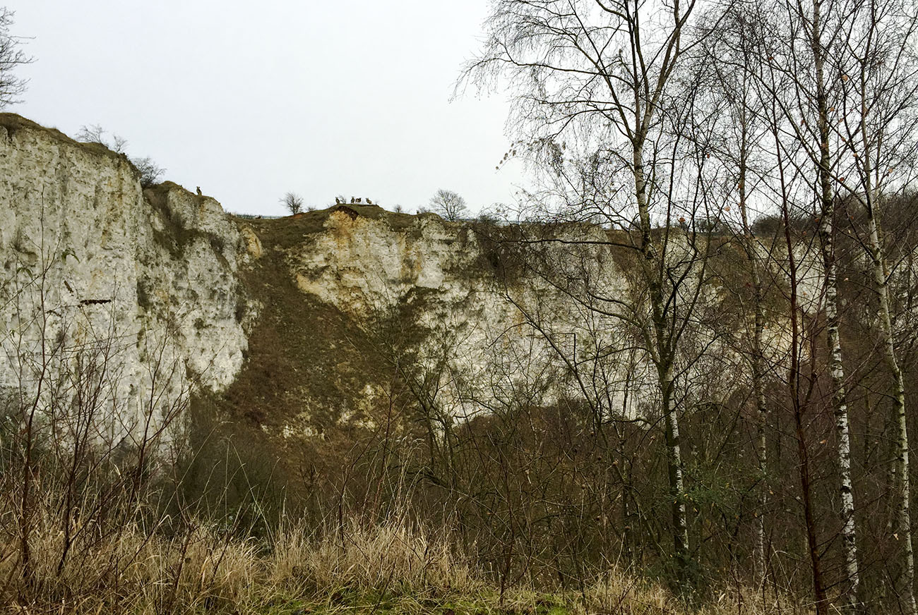 View from inside the quarry on Riddlesdown, with Jacob sheep on the skyline. 26 December 2014. View from inside the quarry on Riddlesdown, with Jacob sheep on the skyline. 26 December 2014.