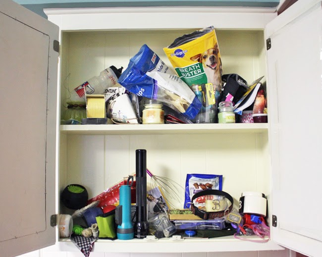 Oh Louise! Junk Organizing on a Budget!