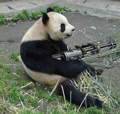Funny Panda With Gun