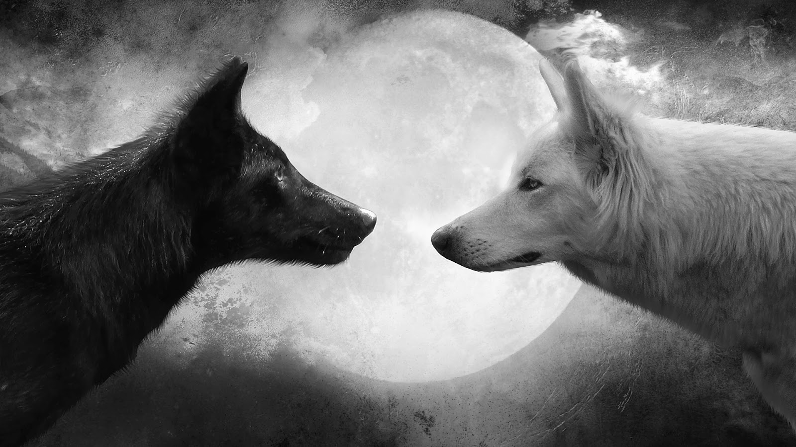 Wolf-and-Moon-Cool-HD-Wallpapers.jpg