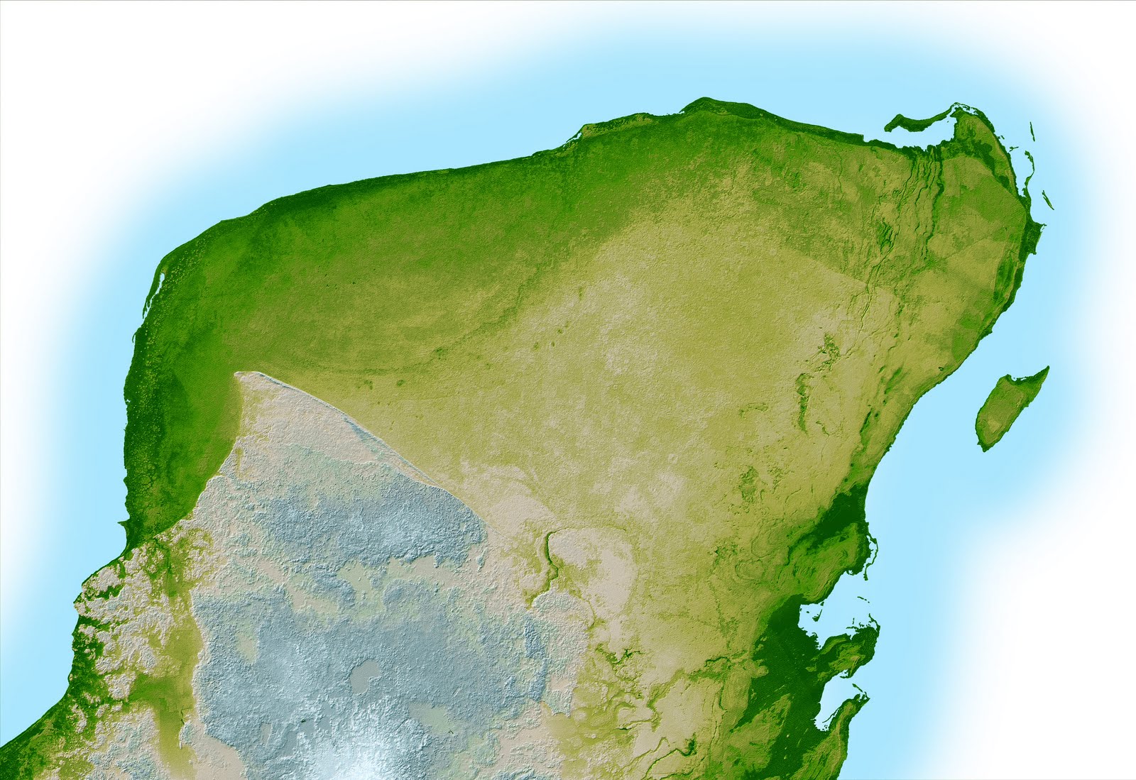 VEGETACION DE LA PENINSULA DE YUCATAN vegetacion de la peninsula de yucatan: