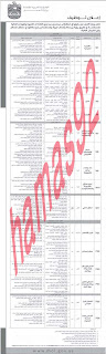 وظائف خالية من جريدة الاتحاد الامارات الاربعاء 24-04-2013 %D8%A7%D9%84%D8%A7%D8%AA%D8%AD%D8%A7%D8%AF+1