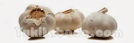Bawang Putih Mengatasi jerawat dengan bawang putih