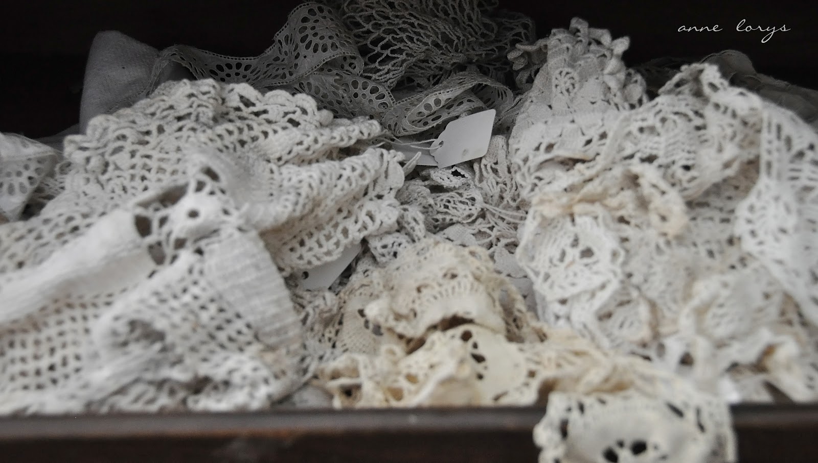 Fiona and Twig Warrenton RoundUp, Spring 2012