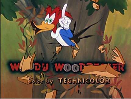 woody woodpecker woody woodpecker