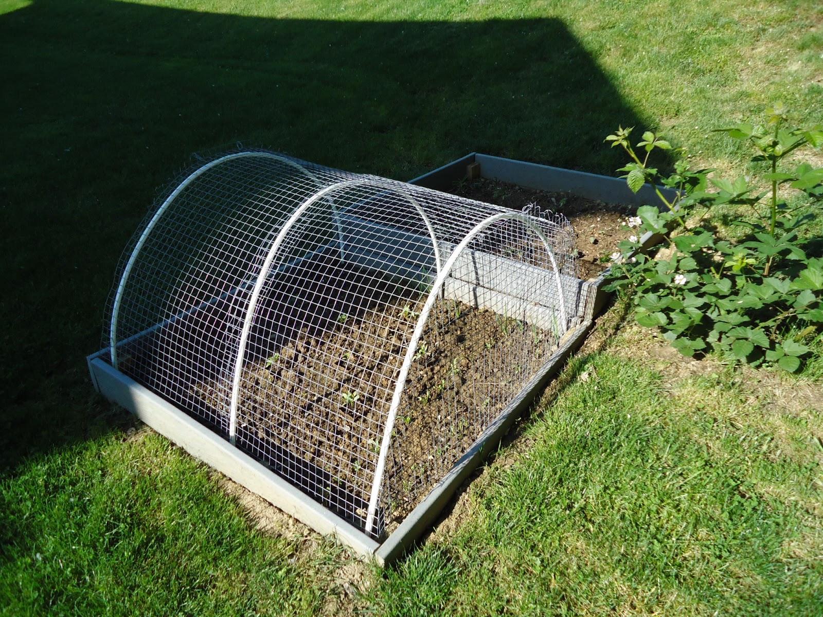 garden fencing garden fencing