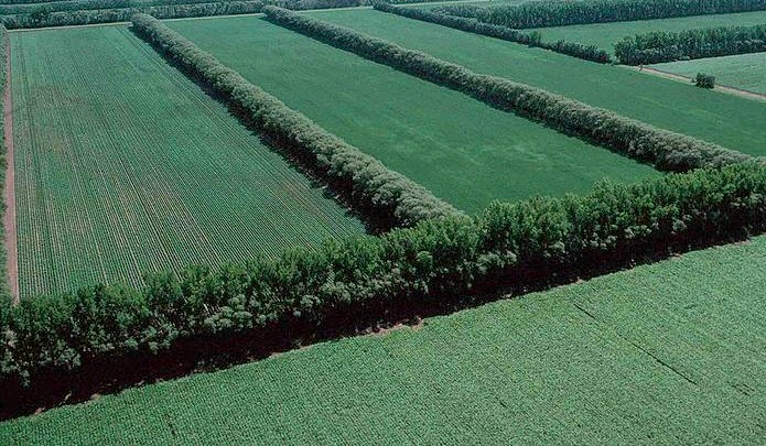 Le Agroforesterie