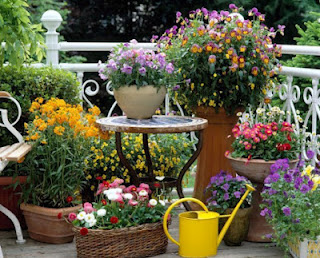 Small Garden Patio Designs Small Garden Patio Designs