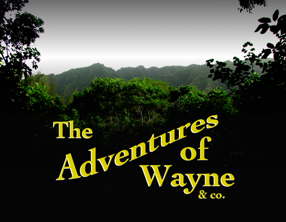 The Adventures of Wayne & co.