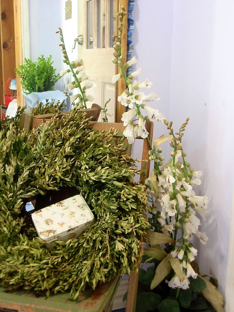 Botanic Bleu Boxwood Fresh, Dried, Preserved