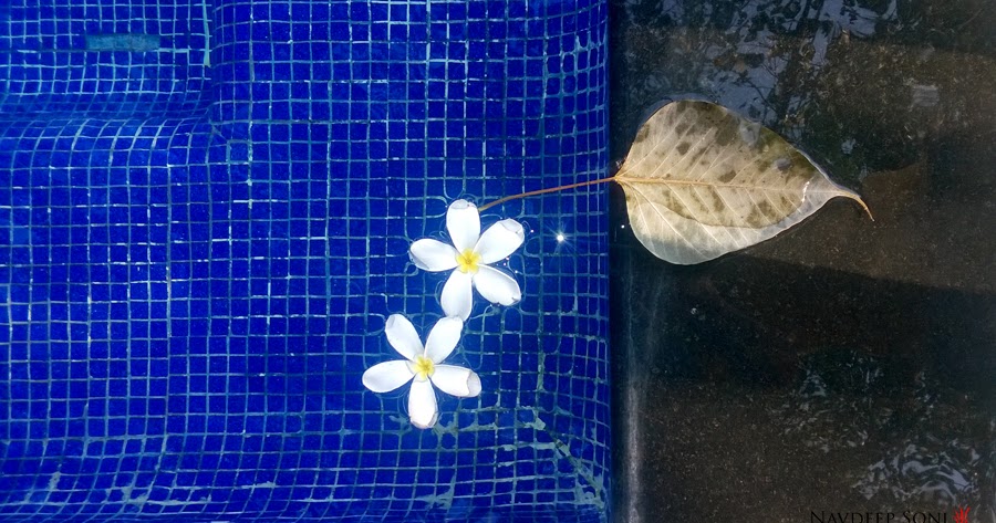 Beauty Of Abstract & Minimalism