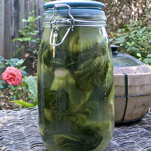 Javaholic Salted Mustard Greens