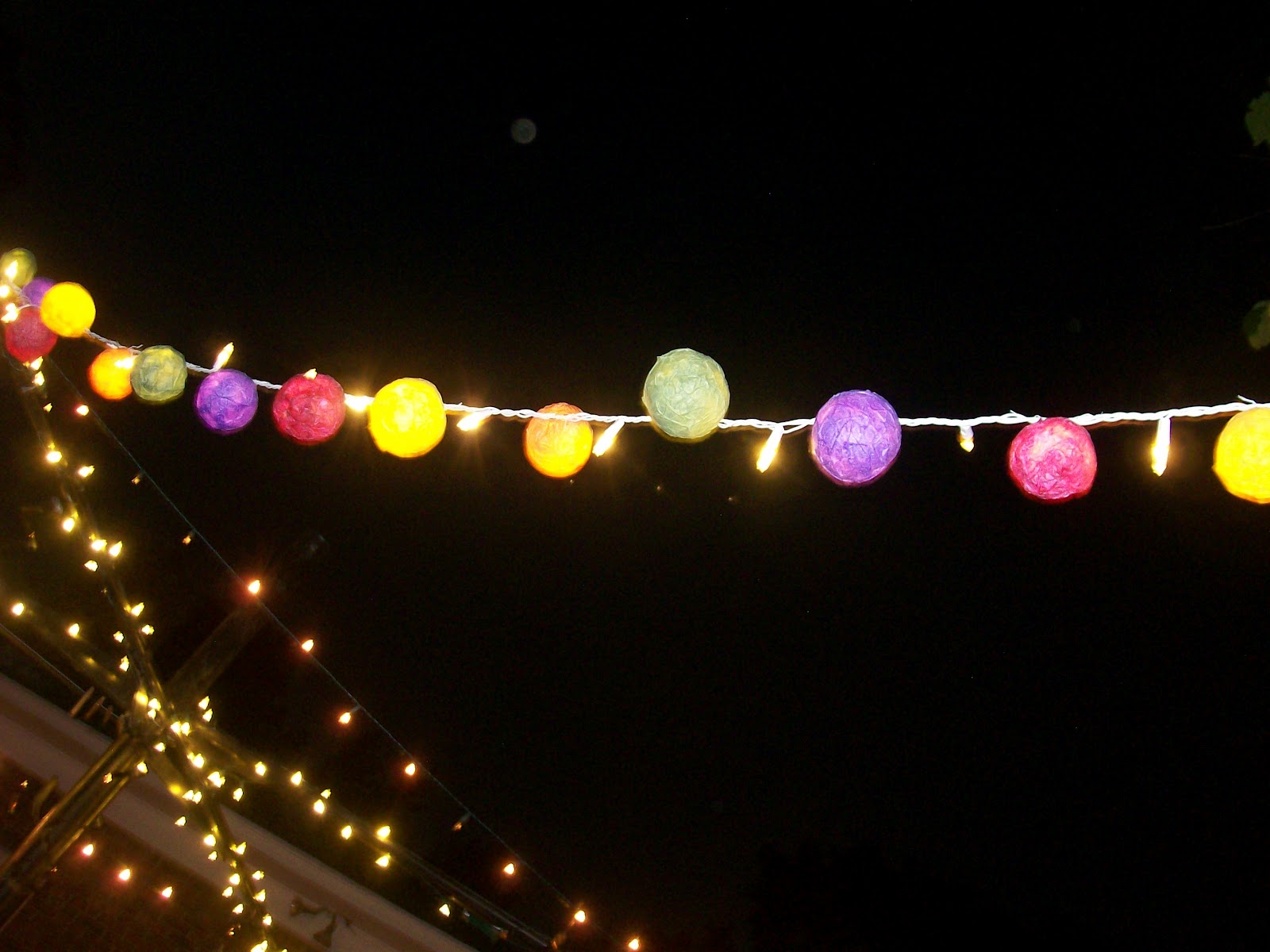 Sparrow Tree Journal: Party lights