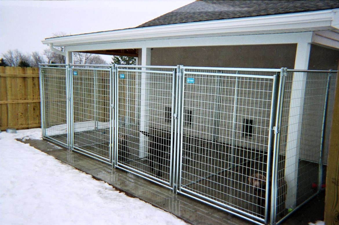 The Real APBT Dog Kennel Setups and Designs