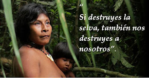 "Salvajes no somos los que vivimos en los bosques, salvajes son los que los destruyen"